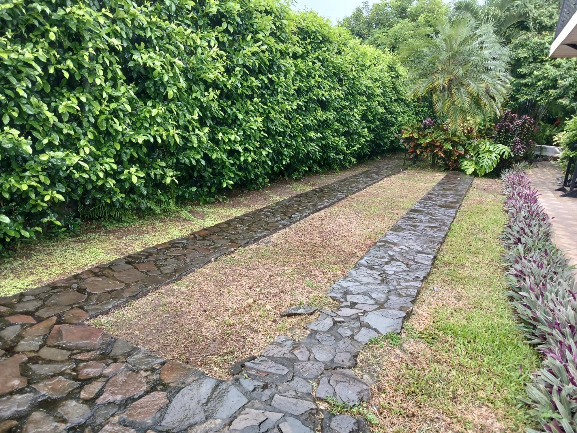 San Gabriel Apartments La Fortuna Ngoại thất bức ảnh